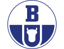Boryszew