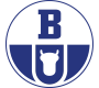 Boryszew